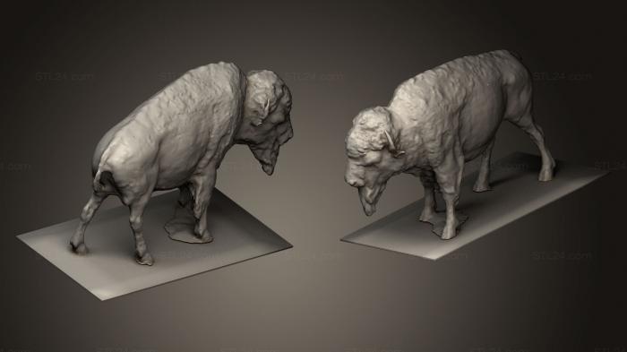 Animal figurines (Buffalo Statue, STKJ_0494) 3D models for cnc